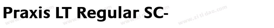 Praxis LT Regular SC字体转换